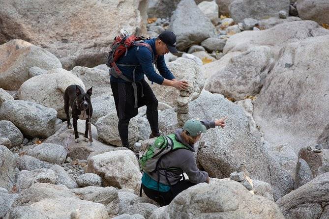 stay-mobile-on-your-trip-to-usa